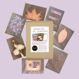 PAR Lumen Kit - Postcards