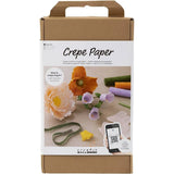 Starter Craft Kit Crepe Paper - Assorted Colours