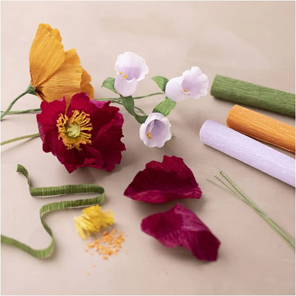 Starter Craft Kit Crepe Paper - Assorted Colours