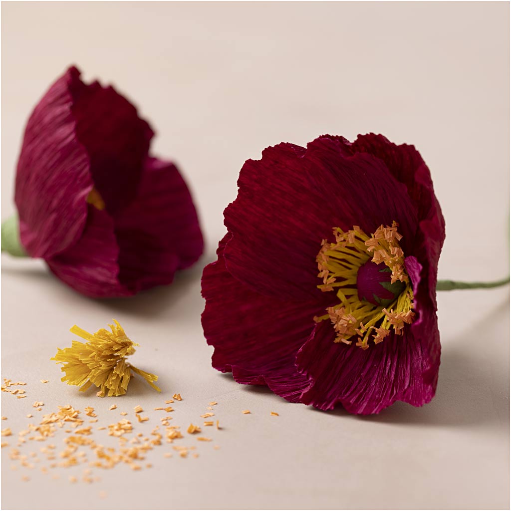 Mini Craft Kit Crepe Paper