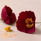 Mini Craft Kit Crepe Paper