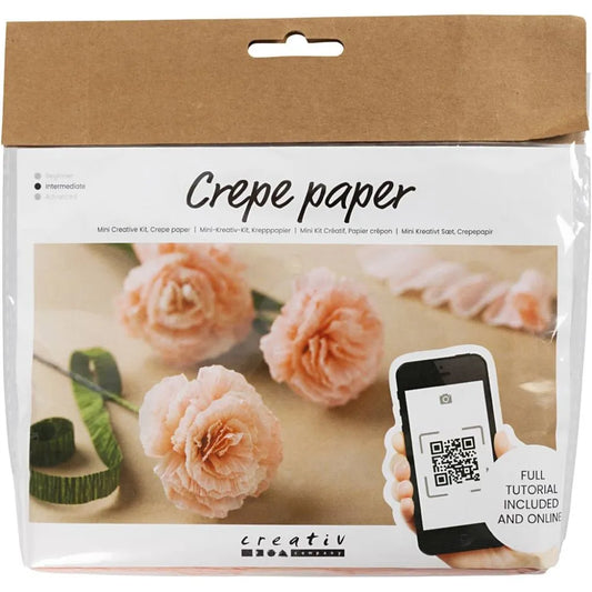 Mini Craft Kit Crepe Paper Carnations