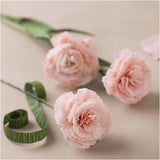 Mini Craft Kit Crepe Paper Carnations