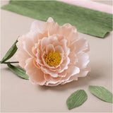 Mini Craft Kit Crepe Paper - Peony