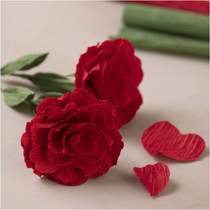 Mini Craft Kit Crepe Paper Roses