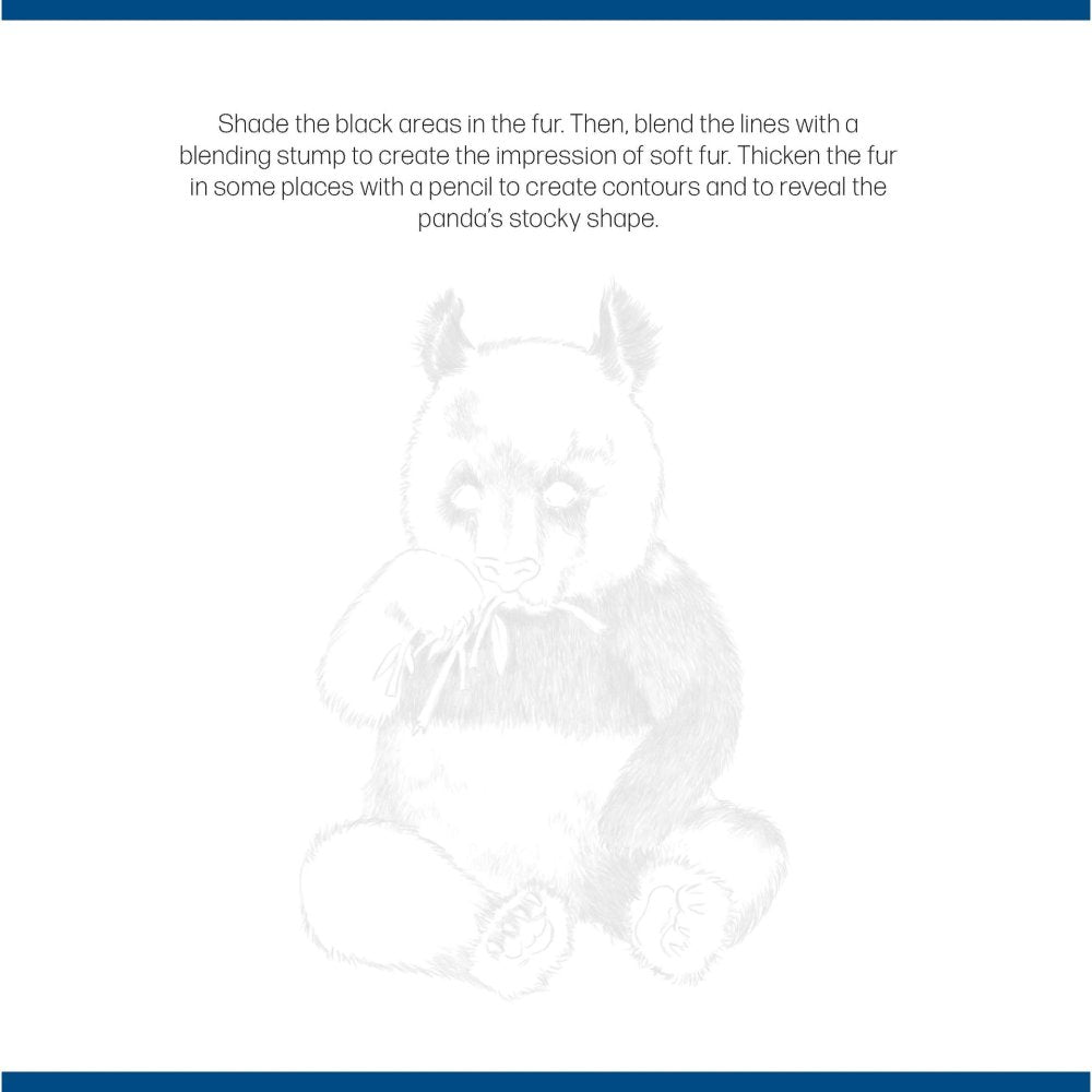 Quick Start Drawing - Animals Book