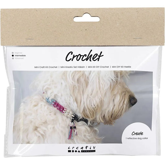 Mini Craft Kit Crochet Dog Collar