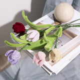 Mini Craft Kit - Pipe Cleaner Tulips
