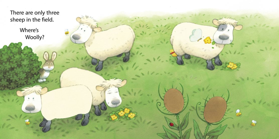 Animal Hide and Seek Book