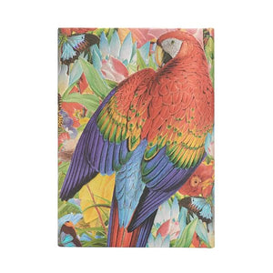 Tropical Garden 2024 Verso Midi