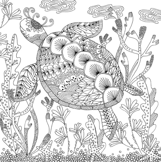 Colouring  Book - Follow Your Dreams