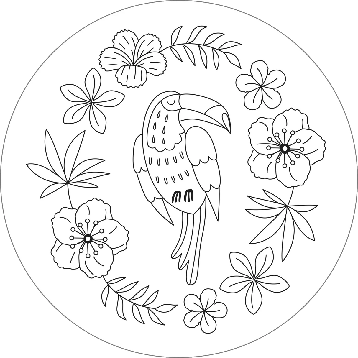 Embroidery Transfers Set - Birds