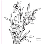 Artist's Colouring Book - Spring Blooms