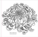 Artist's Colouring Book - Spring Blooms