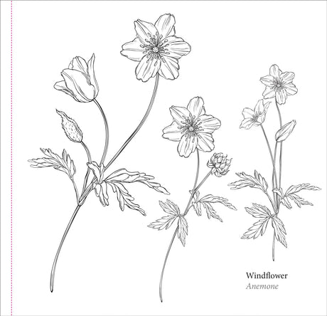 Artist's Colouring Book - Spring Blooms