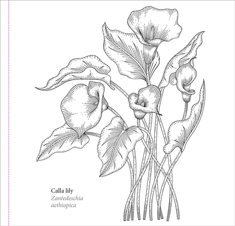 Artist's Colouring Book - Spring Blooms