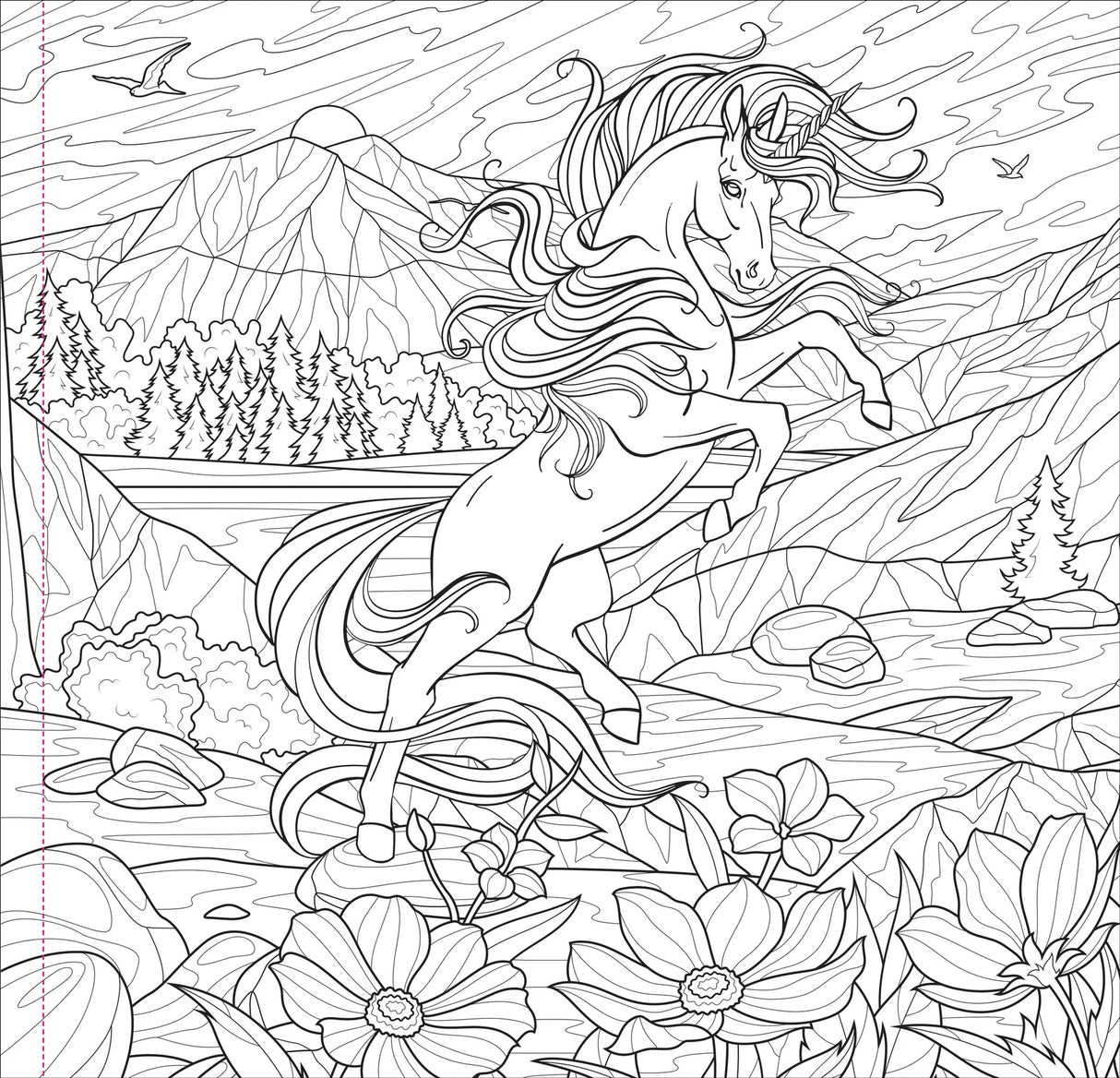 Adult Colouring Book - Enchanted Kingdom