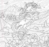 Adult Colouring Book - Enchanted Kingdom