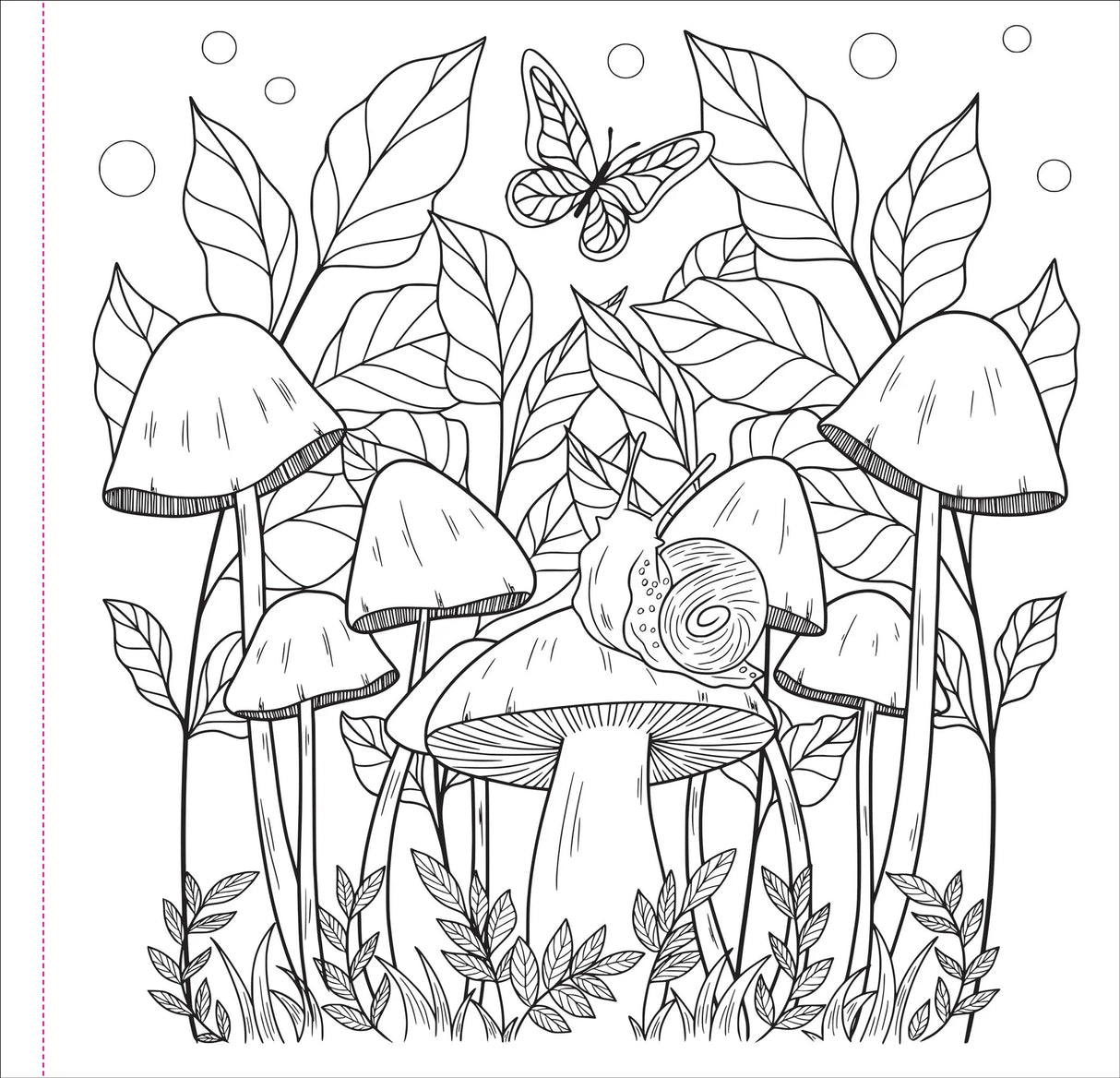 Artist's Colouring Book - Mushrooms