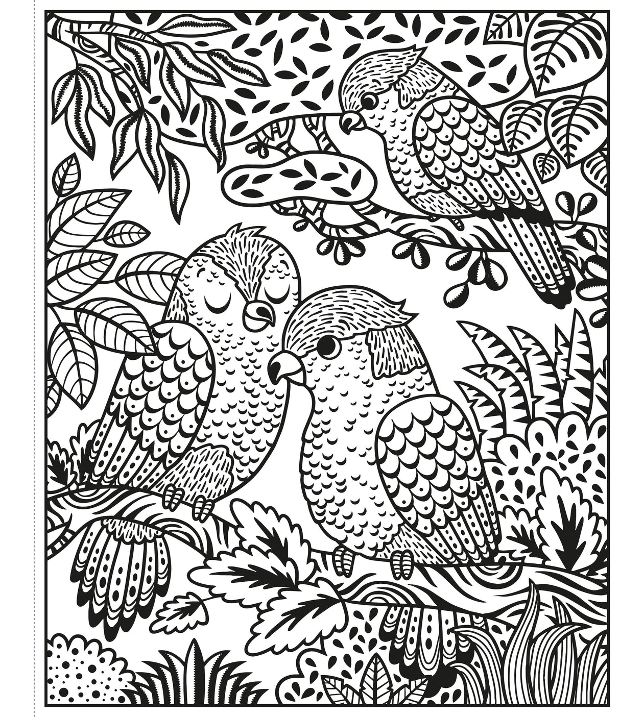 Zoo Magic Painting Book Usborne