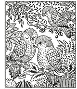 Zoo Magic Painting Book Usborne