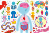 Book & 100 Piece Jigsaw: Human Body