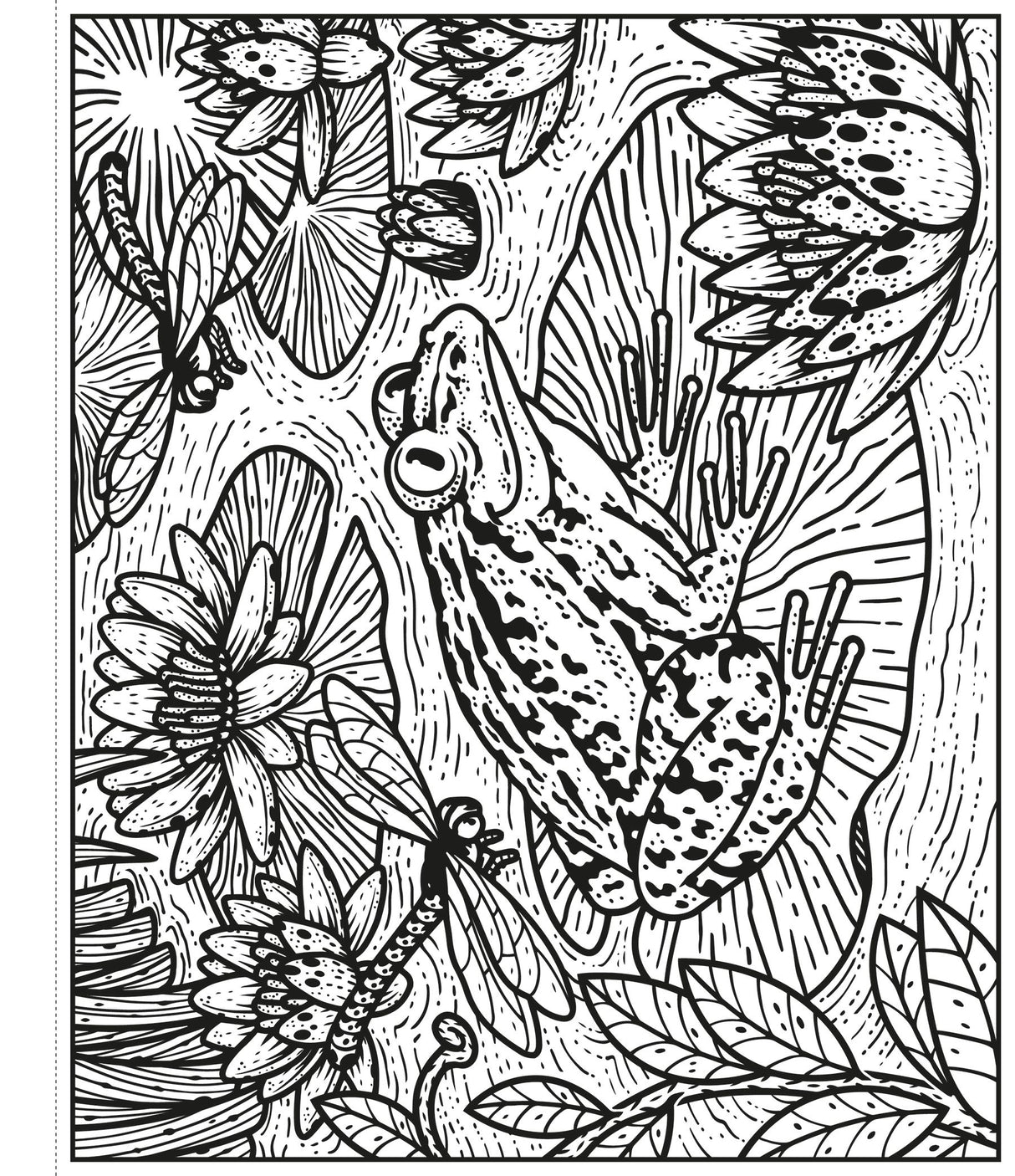 Garden Magic Painting Colouring Book Usborne