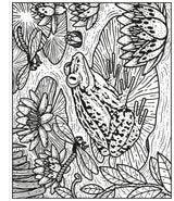 Garden Magic Painting Colouring Book Usborne