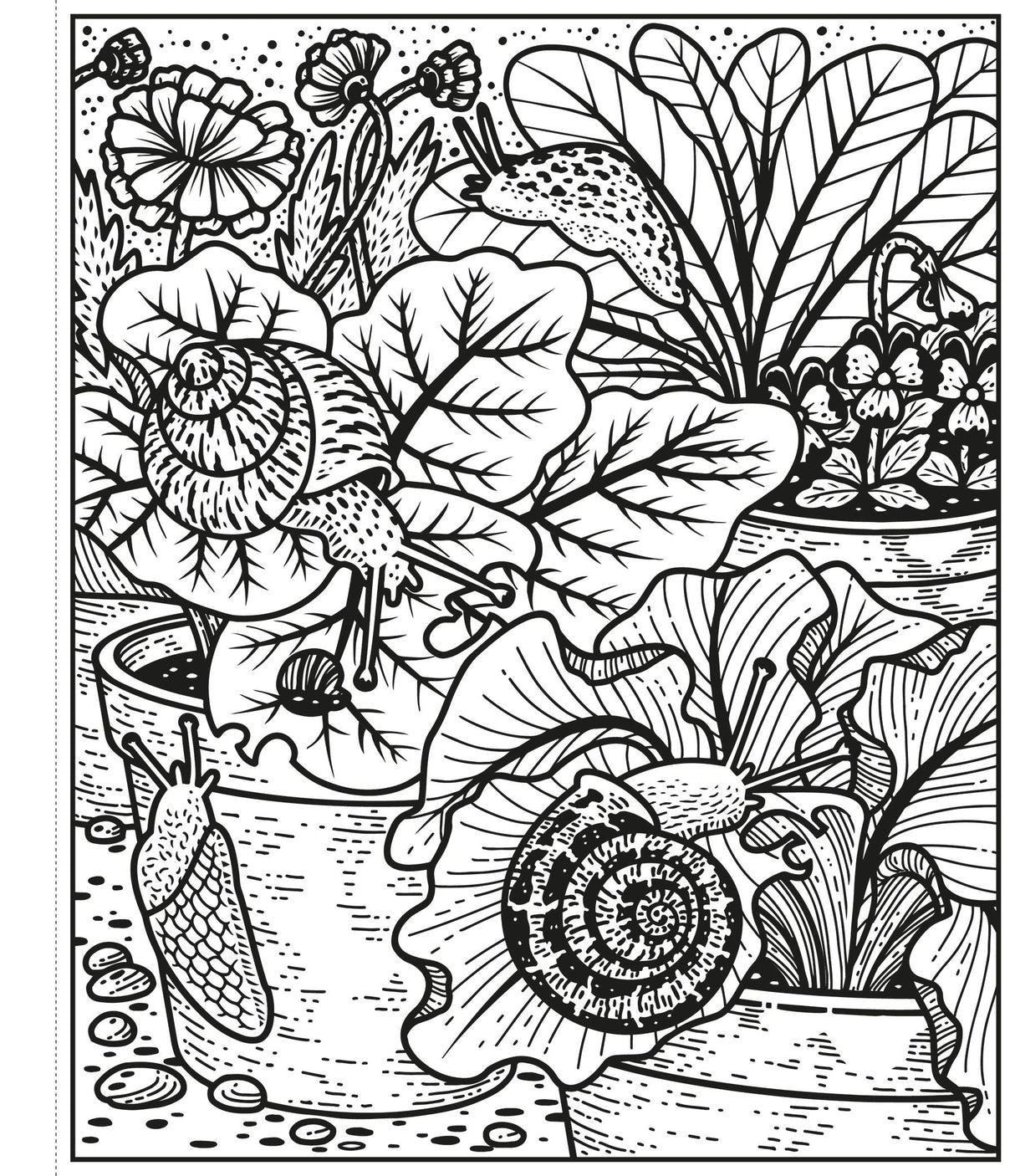 Garden Magic Painting Colouring Book Usborne