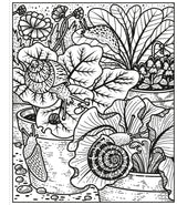 Garden Magic Painting Colouring Book Usborne