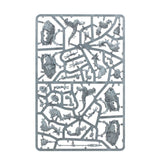 Warhammer Age of Sigmar - Seraphon: Aggradon Lancers