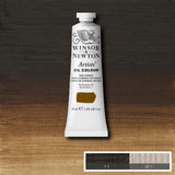 Artists' Oil Colour 37ml Raw Umber