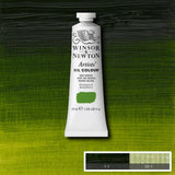 Artists' Oil Colour 37ml Sap Green