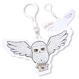 Keychain with a design of an owl holding a box, inspired by Harry Potter, on a white background.