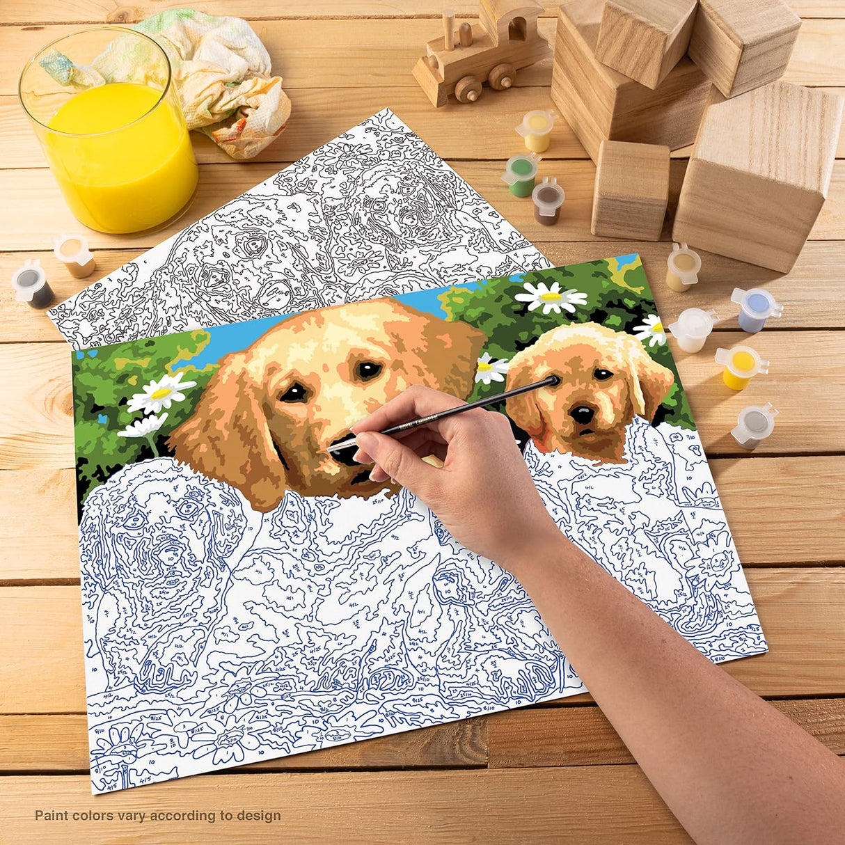 Paint By Numbers Junior Large - Golden Retrievers