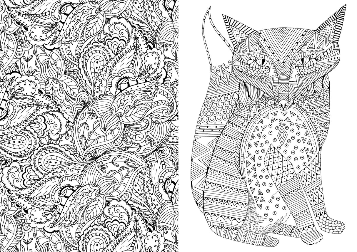 Art Therapy - An Anti-Stress Colouring Book for Adults