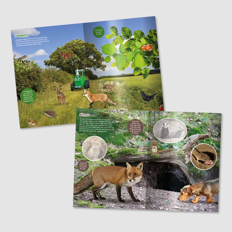 Tractor Ted Fantastic Farm Sticker Book