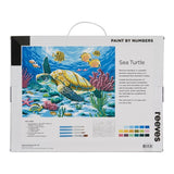 Reeves Paint By Numbers 12X16 Sea Turtle