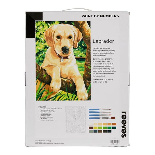 Dogs' Day Out Paint by Numbers