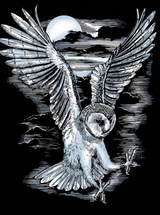 Artfoil Silver Kit - Barn Owl