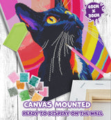 Diamond Art Set - Black Cat
