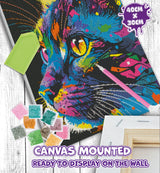 Paint By Numbers Set - Bright Coloured Cat