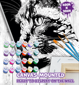 Brightly Coloured Cat Paint By Numbers Splat Planet