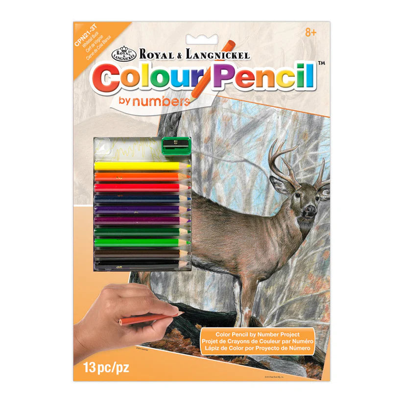 Colour Pencil By Numbers - Whitetail Buck