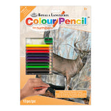 Colour Pencil By Numbers - Whitetail Buck