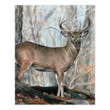 Colour Pencil By Numbers - Whitetail Buck