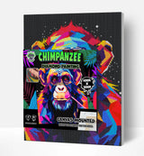 Diamond Art Set - Chimpanzee