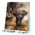 Diamond Art Kit 40x50cm - Elephant In The Savanna