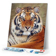 Diamond Art Kit 40x50cm - Tiger Eye