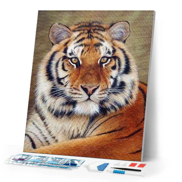 Diamond Art Kit 40x50cm - Tiger Eye